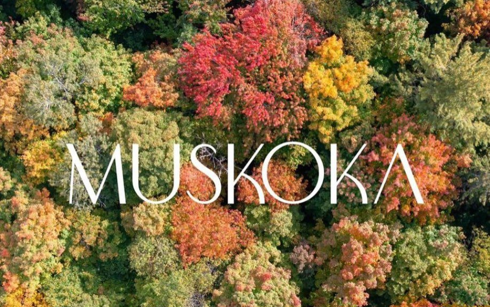 muskoka family resort
