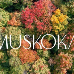 muskoka family resort